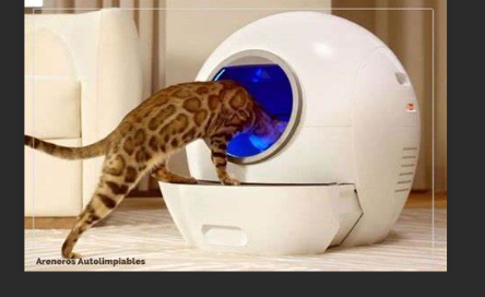 baño pa gato 4